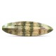 Vienvietīgs SIT-ON-TOP kajaks AMBER BAIT COMFORT